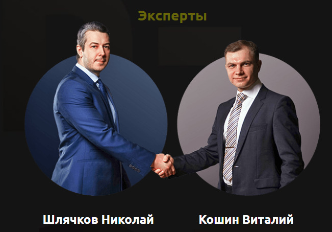 Эксперты Николай Шлячков и Виталий Кошин