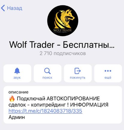 Телеграм Wolf Trader обзор