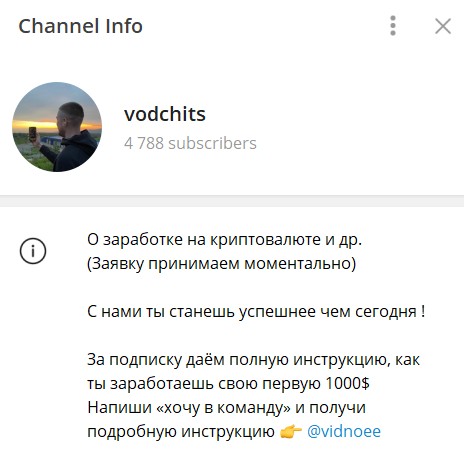 Обзор канала Vodchits