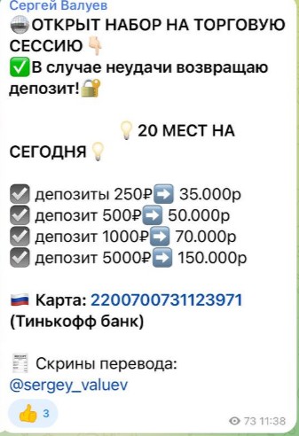 Телеграм Сергей Валуев условия проекта
