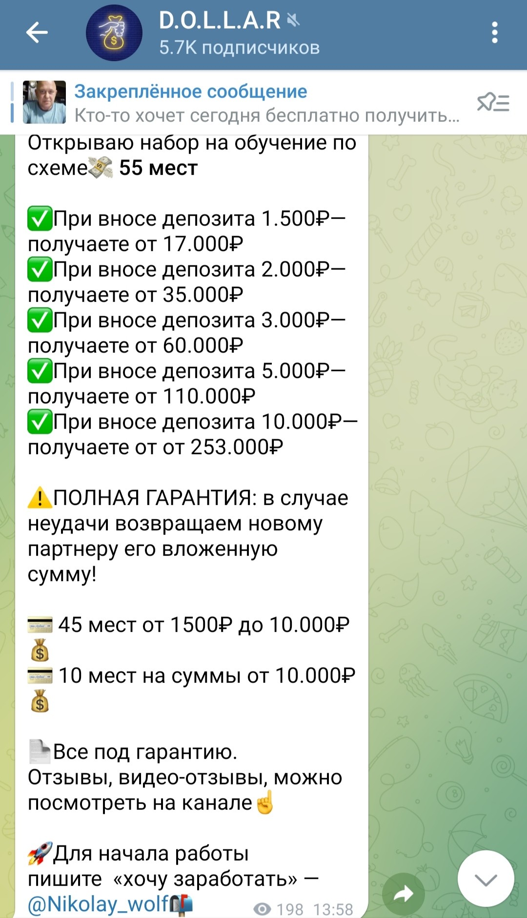 Телеграм Николай Вольф условия инвестирования
