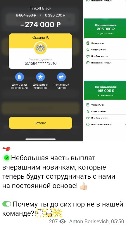 Anton Borisevich скриншоты выплат