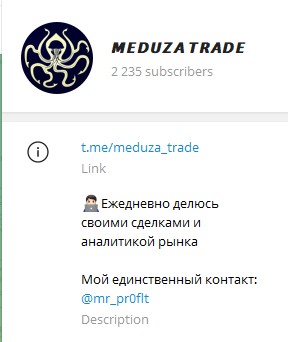 Телеграм канал Meduza Trade обзор