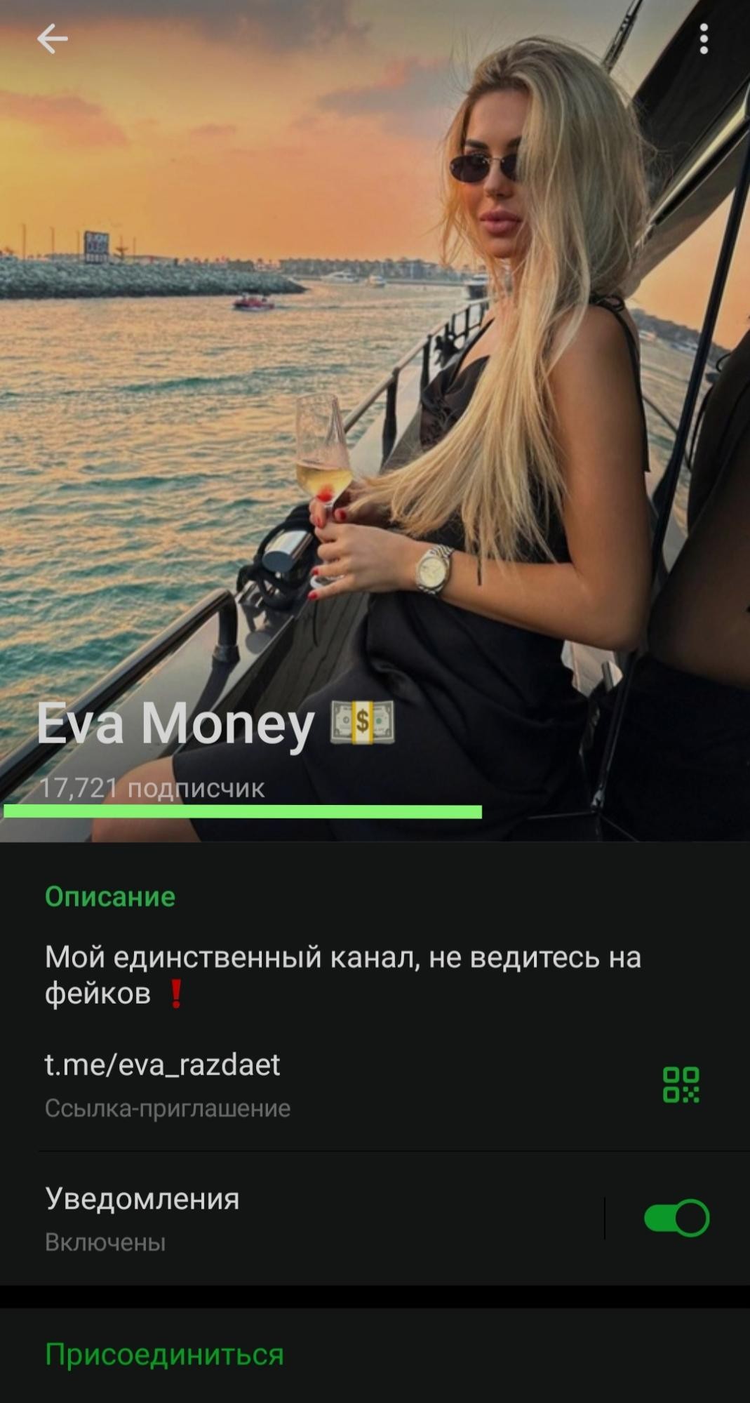 Eva Money обзор проекта
