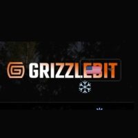 Проект Grizzlebit