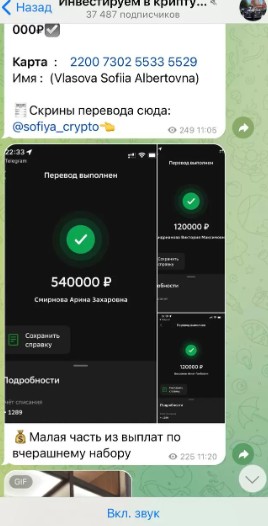 София Альбертовна Инвестируем в крипту