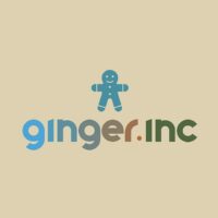 Ginger проект