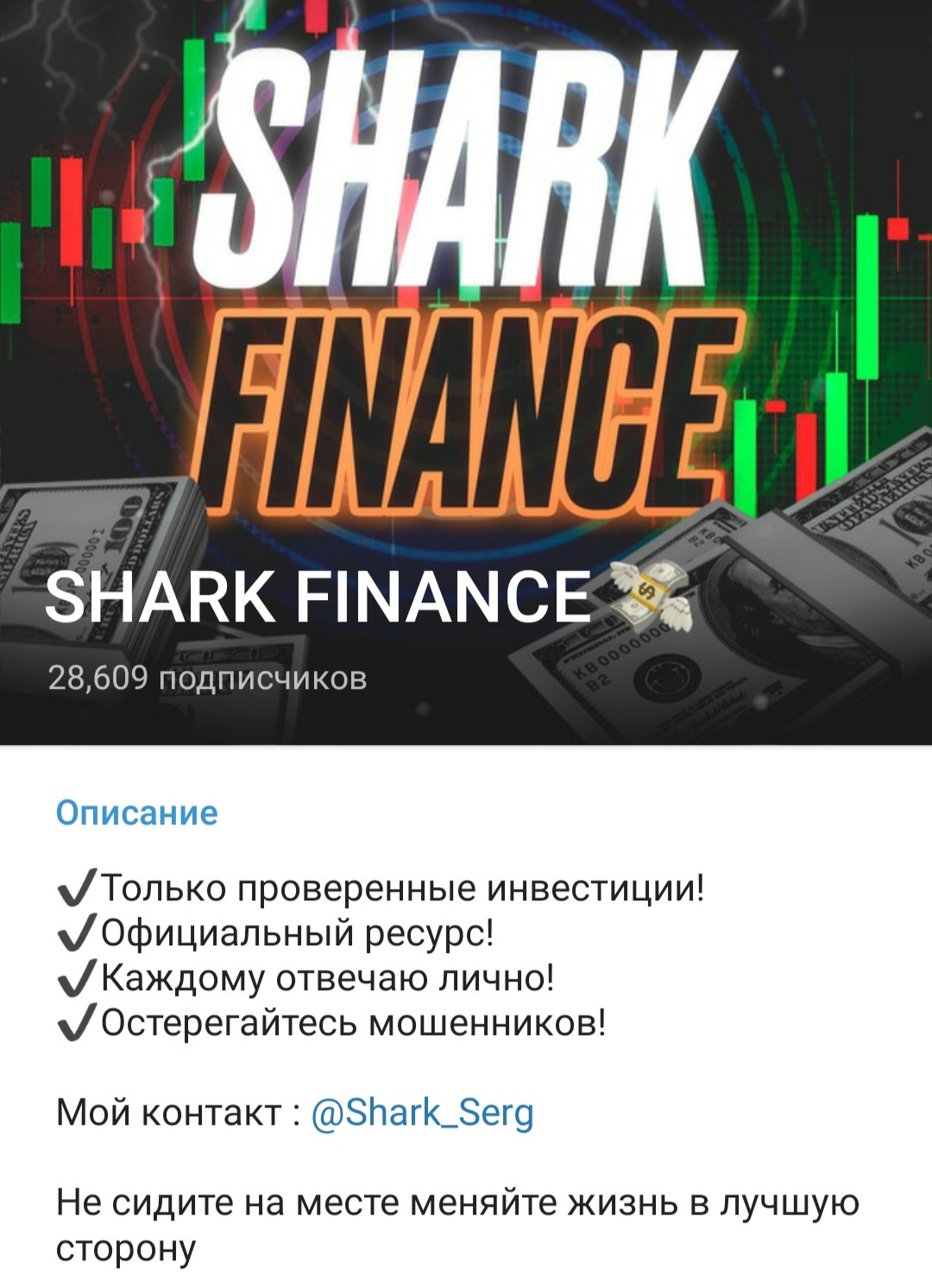 Телеграм Shark Finance