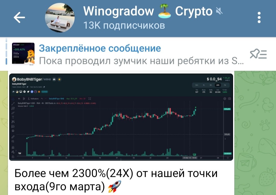 телеграм Igorwinogradowww обзор