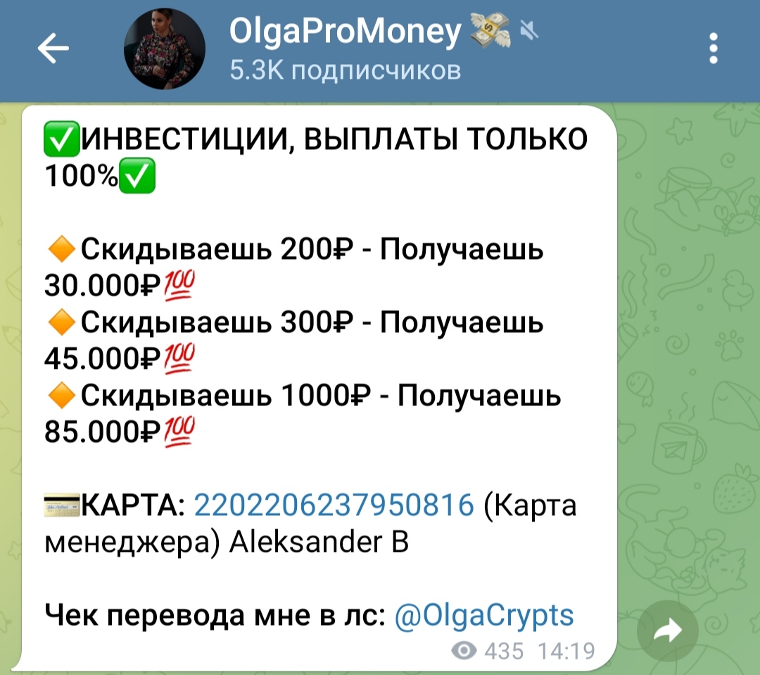 Условия инвестирования с OlgaCrypts.