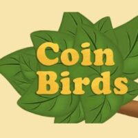 Проект coin birds