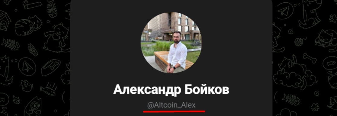 Александр Бойков Телеграмм