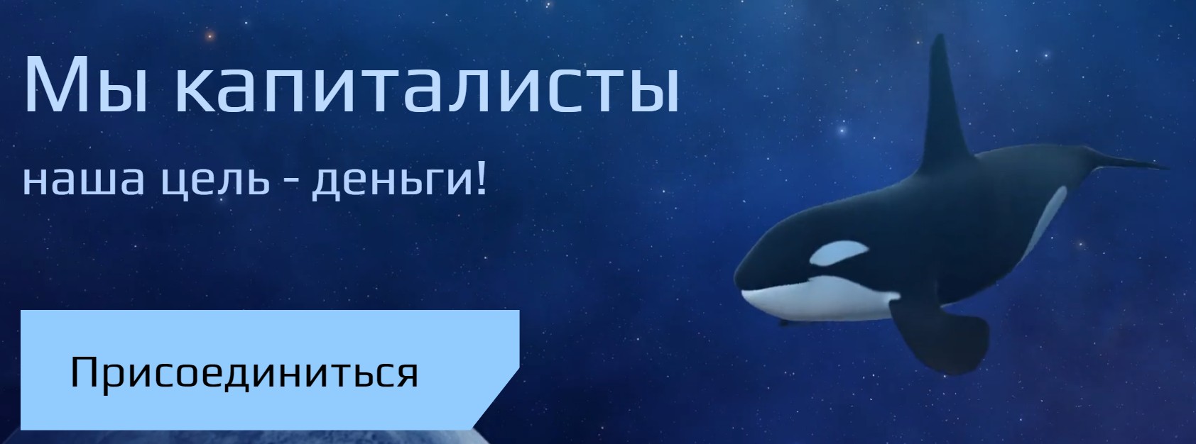 александр владарев директор capital whale