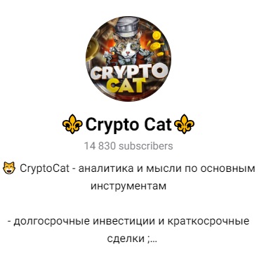 Телеграм-канал Crypto Cat