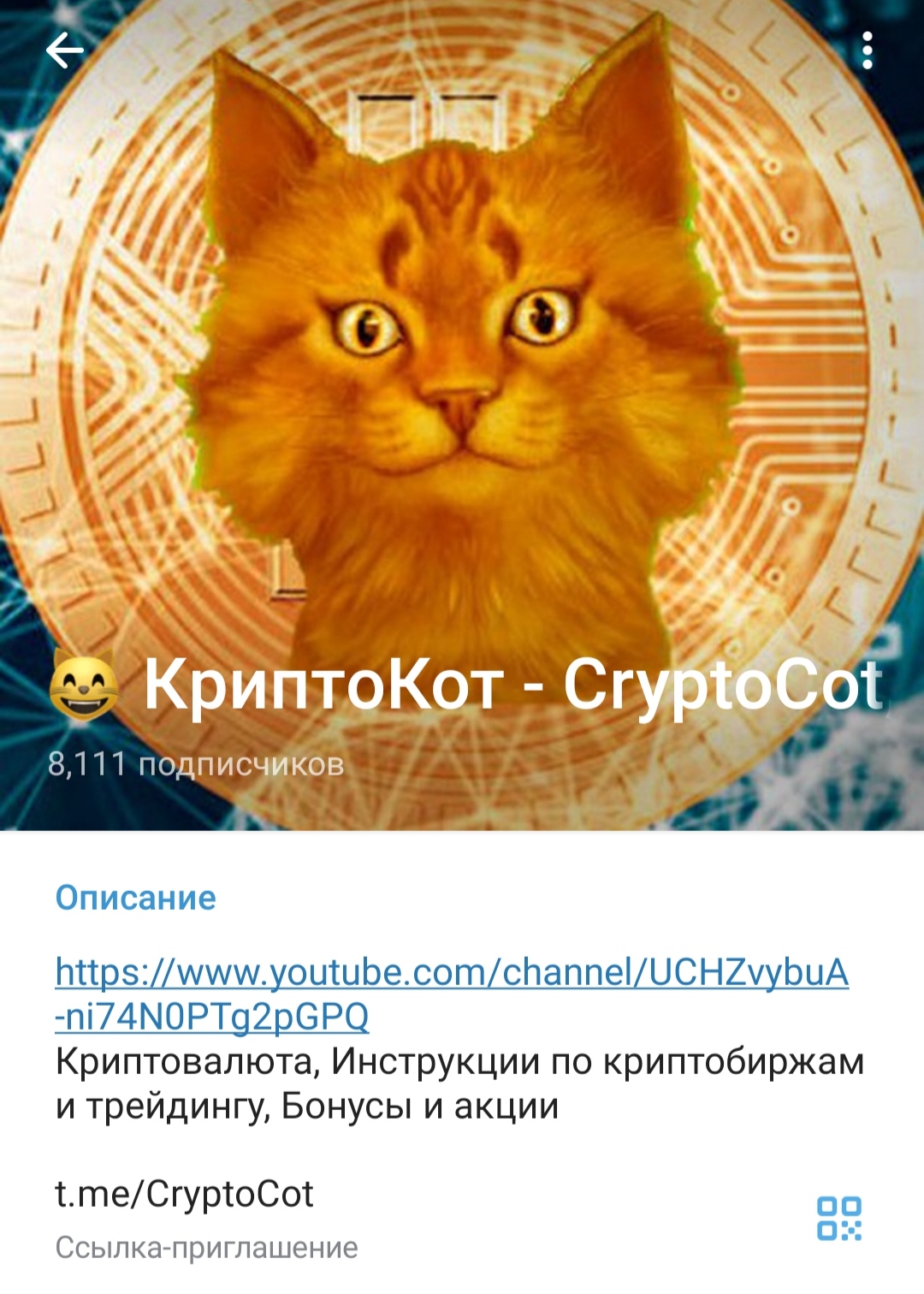 КриптоКот - телеграм-канал