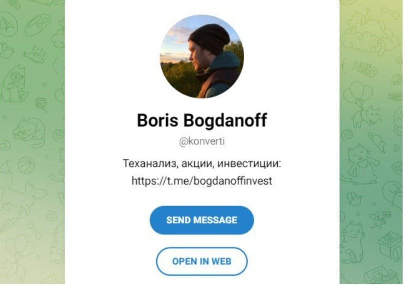 Bogdanoff invest telegram