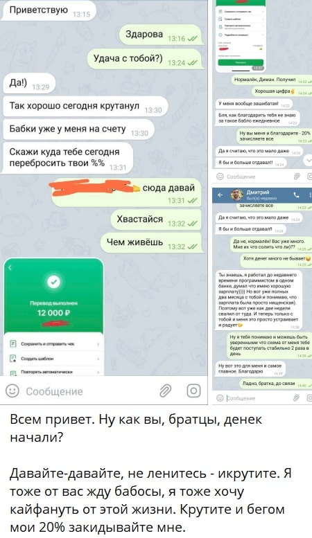 Niko Volk телеграм переписка
