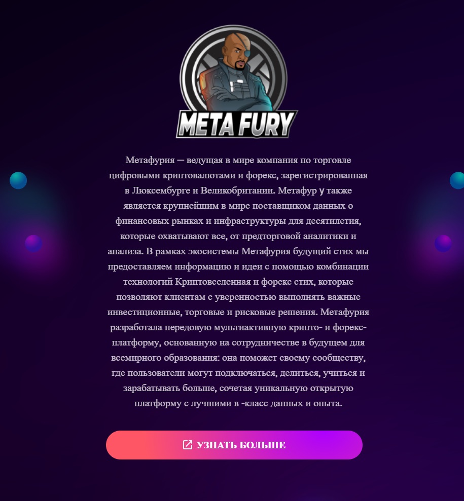 Metafury World - описание