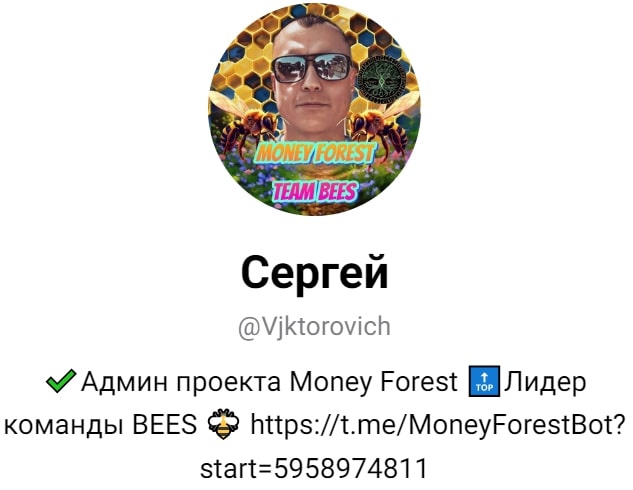 Money Forest админ