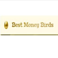 Money Birds лого