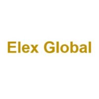 Elex Global лого