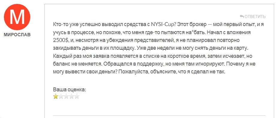  NYSI Cup отзывы