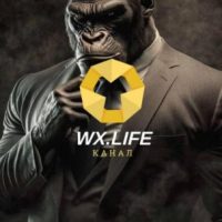 WX Life Юрий Хуснуллин отзывы телеграм лого