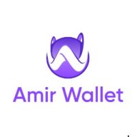 Amir Capital лого