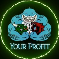 Your Profit