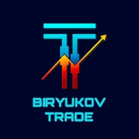 Biryukov Trade
