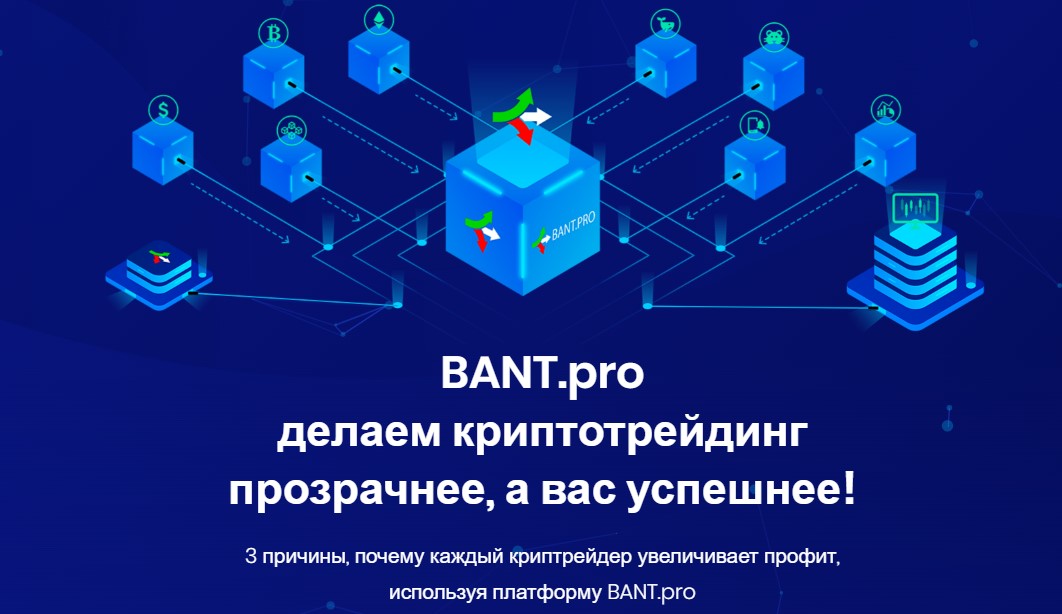Bant.pro — платформа 