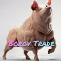 Borov Trade